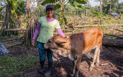Varias opciones de capacitación.