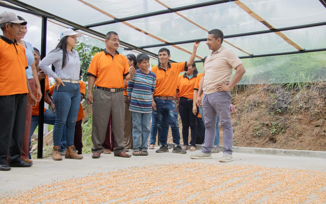 Nuevas marquesinas para agricultores de El Eno.