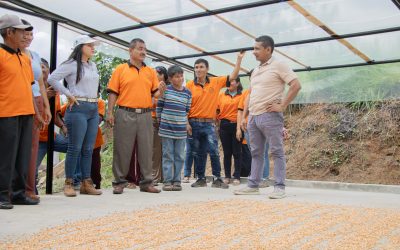 Nuevas marquesinas para agricultores de El Eno.