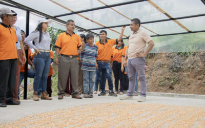 Nuevas marquesinas para agricultores de El Eno.